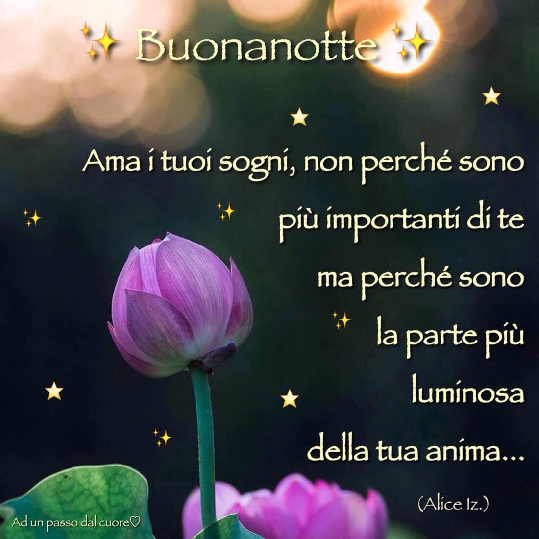 Buonanotte ama i tuoi sogni non perchè sono più importanti di te ma perchè sono la parte più luminosa della tua anima...