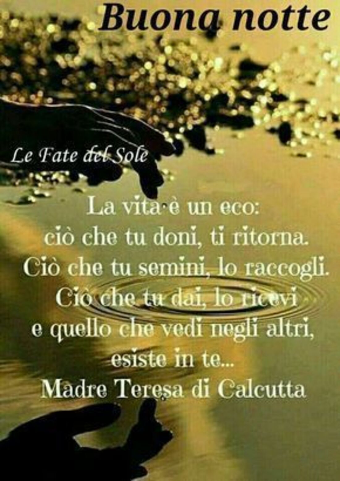 Buonanotte...La vita è come un eco...ciò che tu doni, ti ritorna. Ciò che tu semini, lo raccogli. Ciò che tu dai, lo ricevi e quello che vedi negli altri, esiste in te...