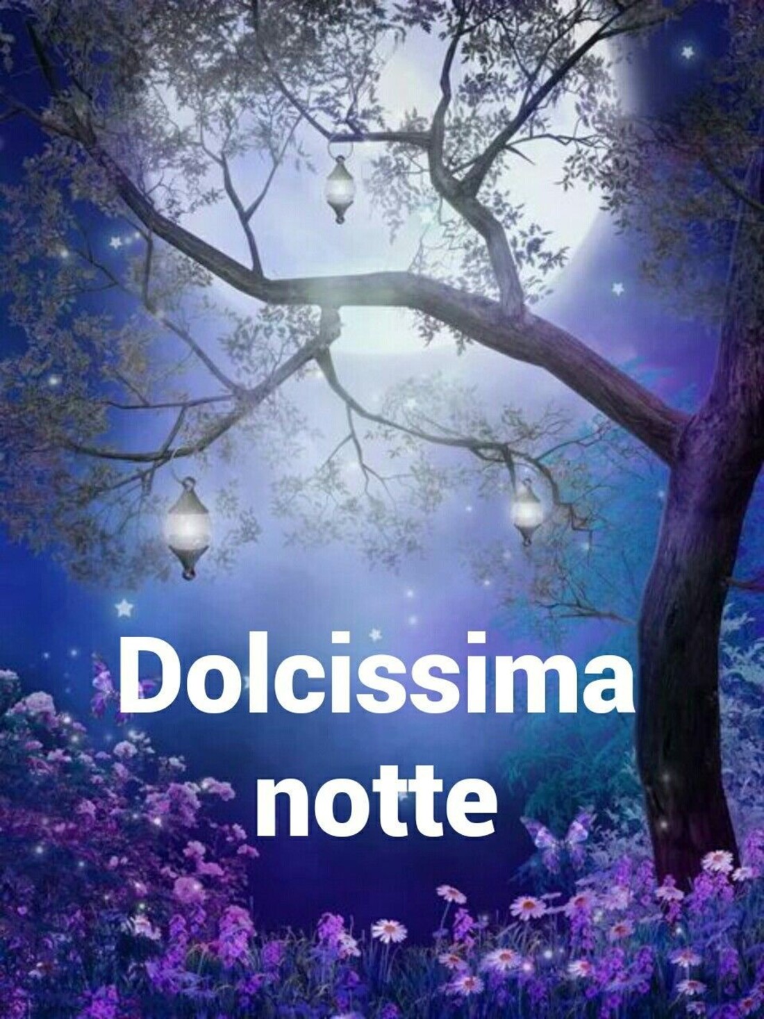 Dolcissima notte