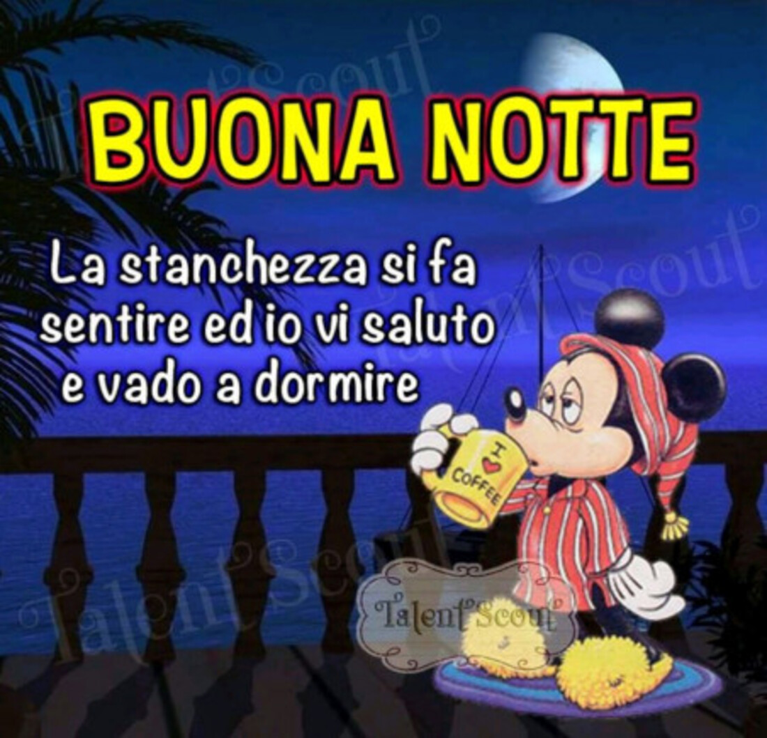 Buona Notte la stanchezza si fa sentire ed io vi saluto e vado a dormire
