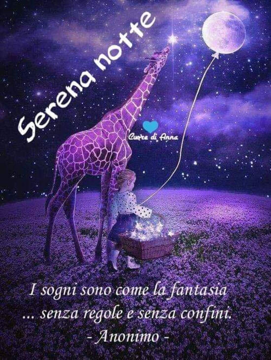 Serena notte i sogni sono la fantasia senza regole e senza confini