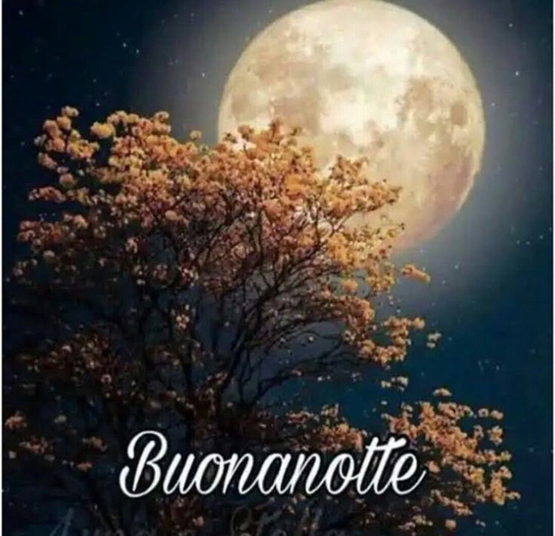 Buonanotte