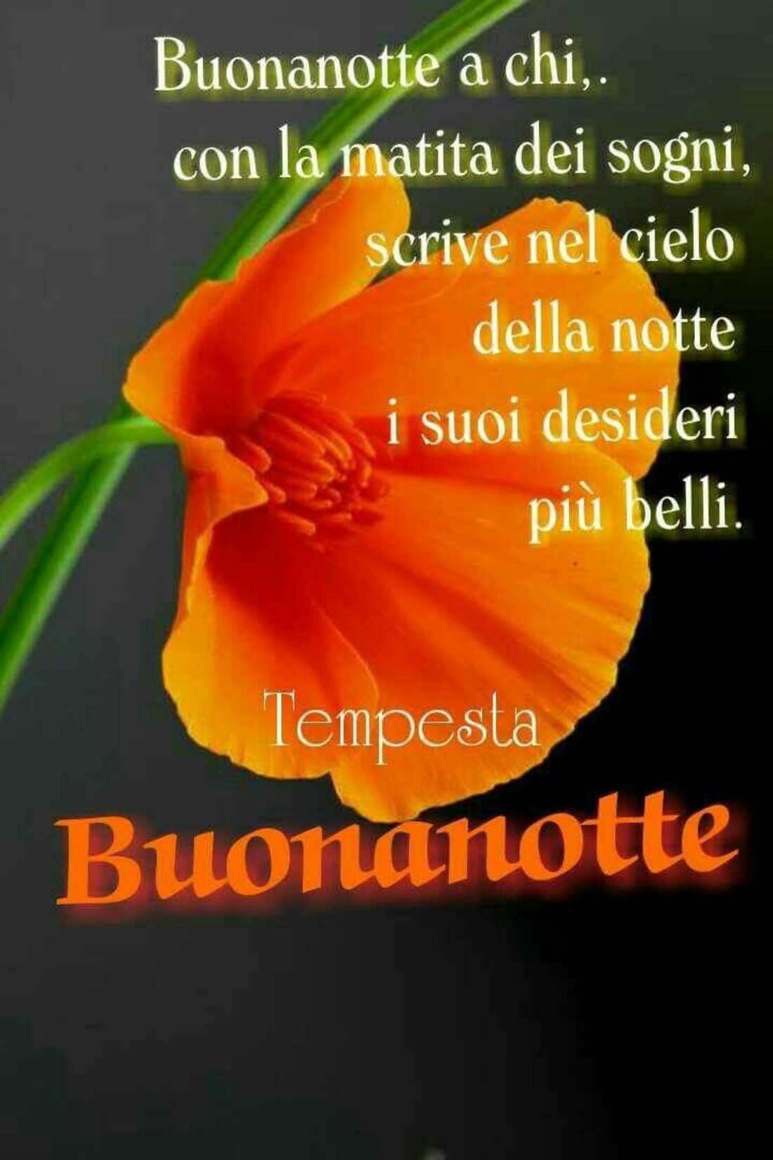 Buonanotte a chi con la matita dei sogni, scrive nel cielo della notte i suoi desideri più belli...Buonanotte