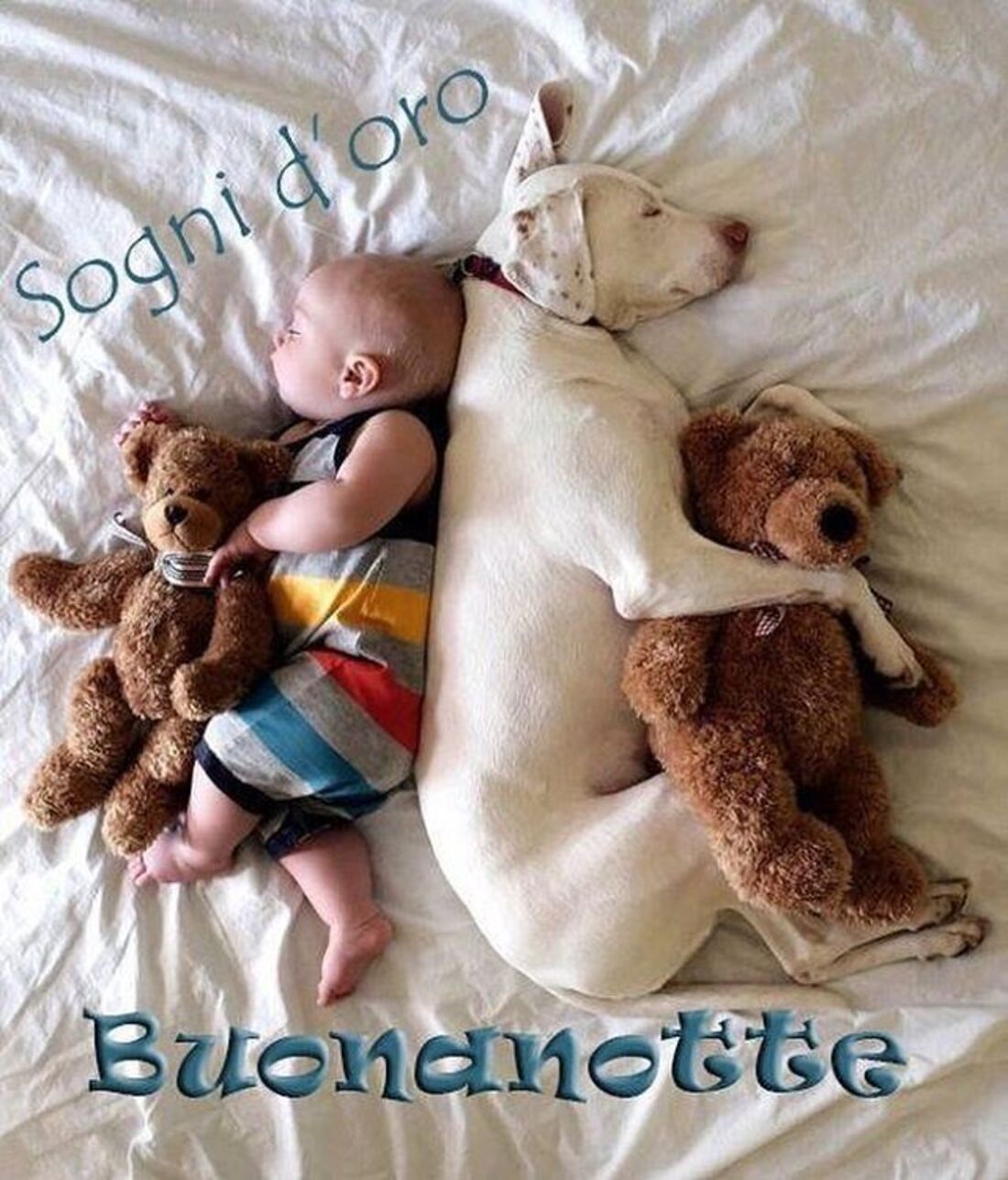 Sogni d'oro e buonanotte