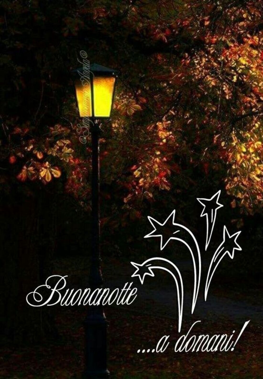 Buonanotte a domani