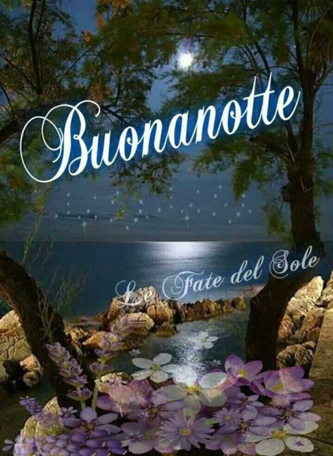 Buonanotte 