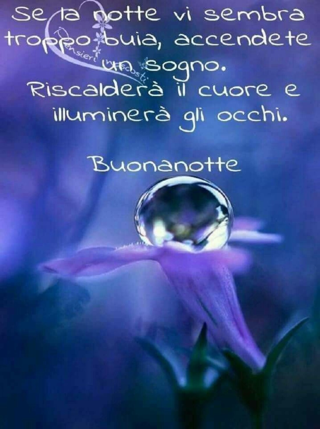 Se la notte vi sembra buia, accendete un sogno. Riscalderà il cuore, illuminerà gli occhi...Buonanotte