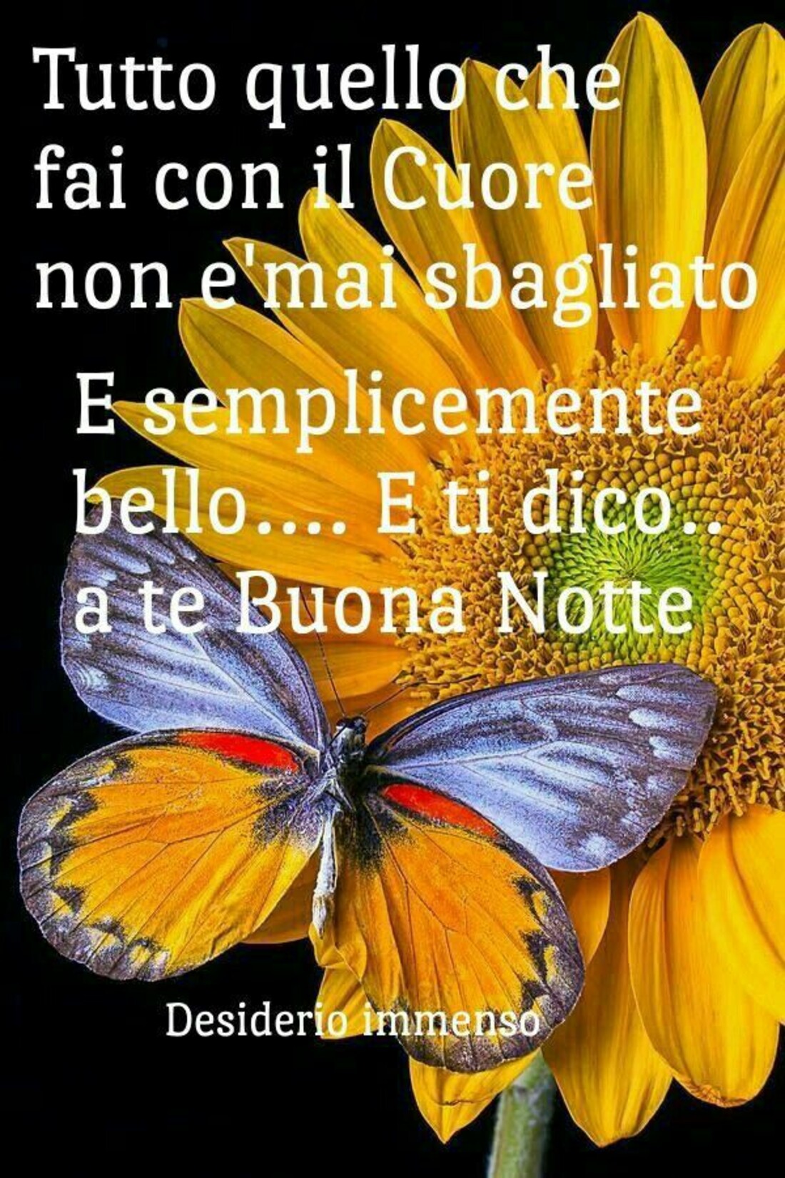 Tutto quello che fai con il cuore è semplicemente bello...e ti dico buonanotte