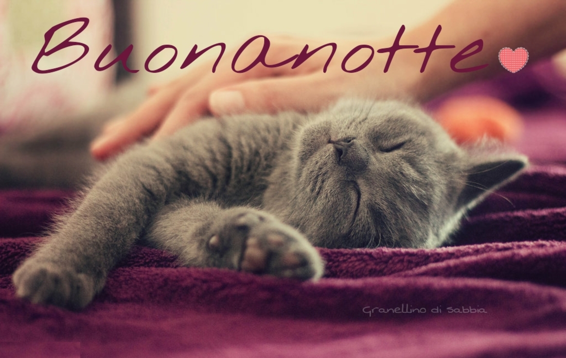 Buonanotte