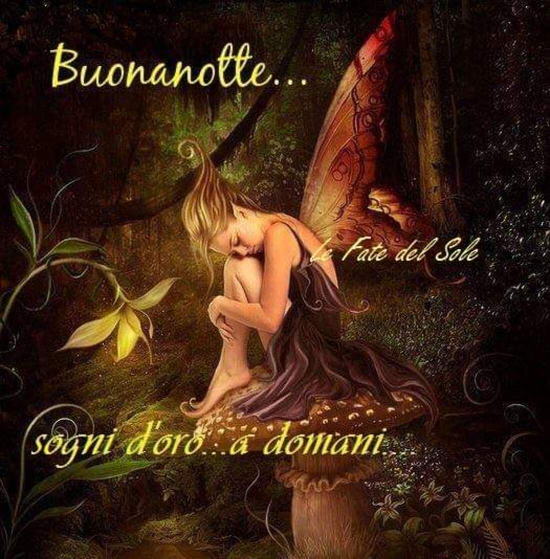 Buonanotte...sogni d'oro a domani