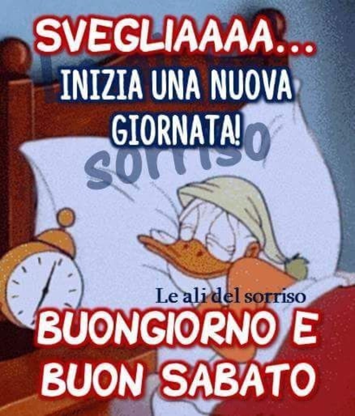 SVEGLIAAAA..Inizia una nuova giornata! Buongiorno e Buon Sabato