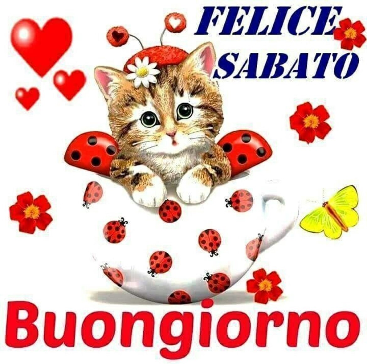 Felice Sabato Buongiorno