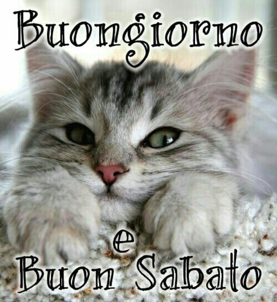 Buongiorno e Buon Sabato