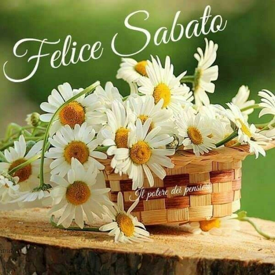 Felice Sabato