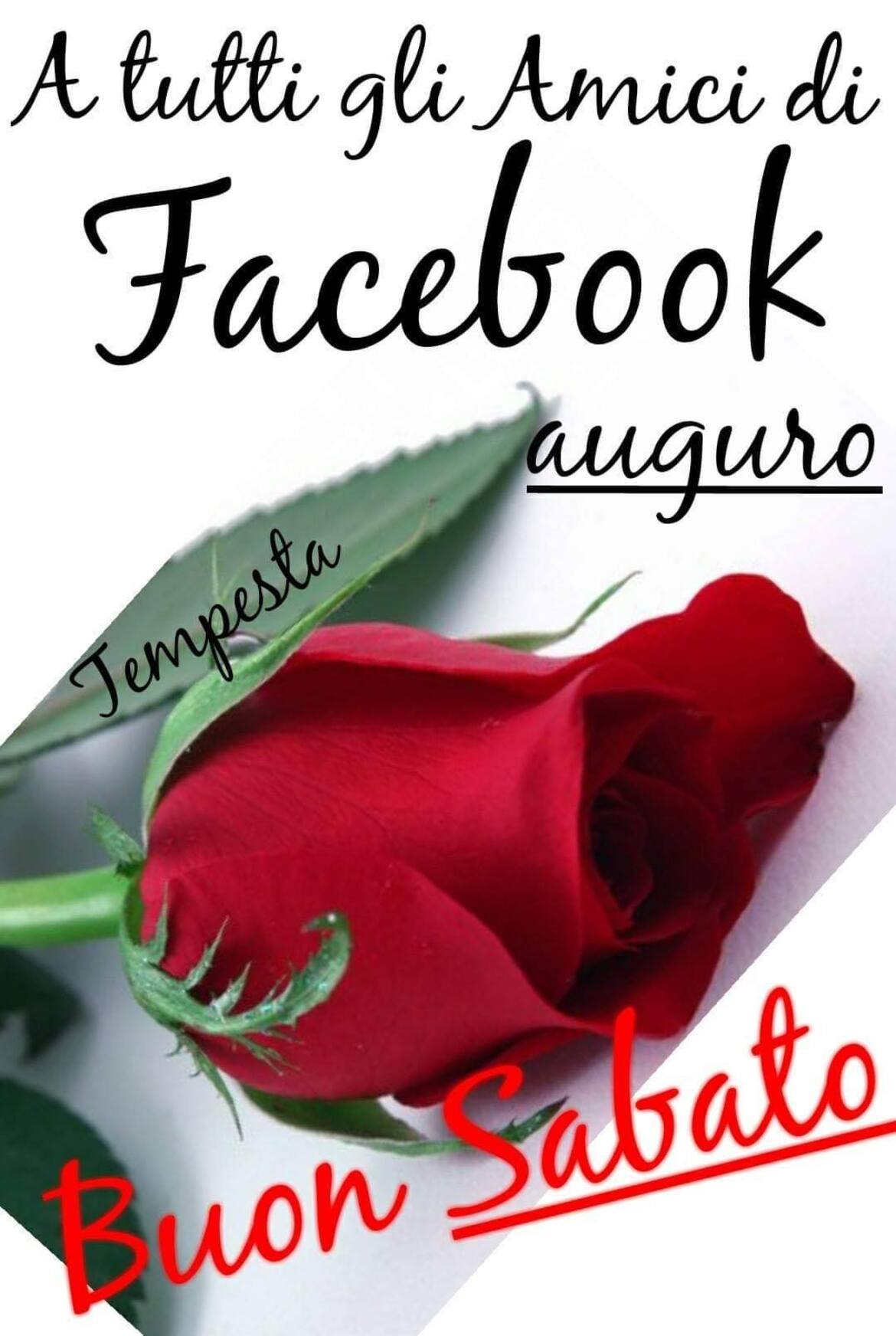 A tutti gli amici di Facebook auguro Buon Sabato