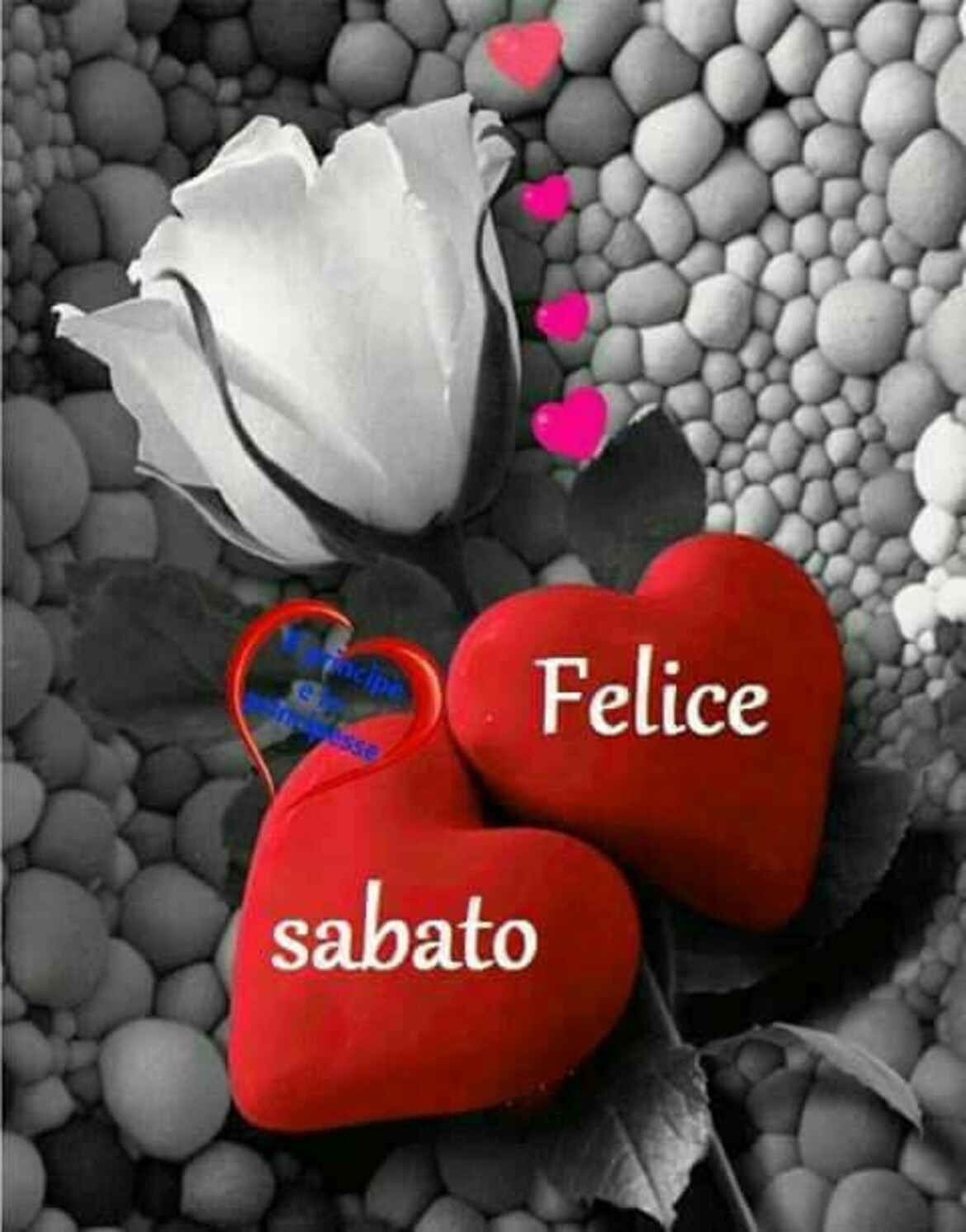 Felice Sabato