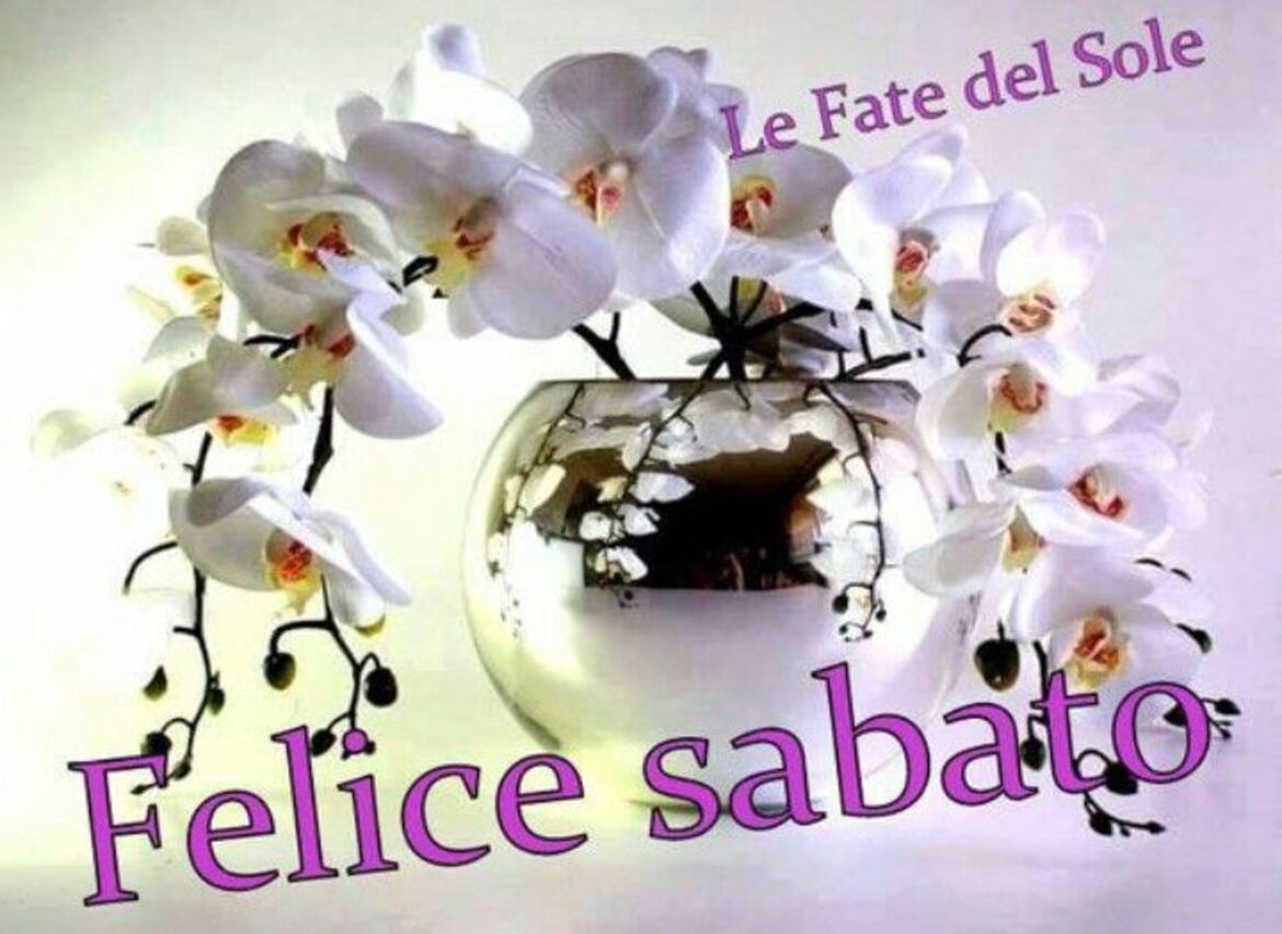 Felice Sabato