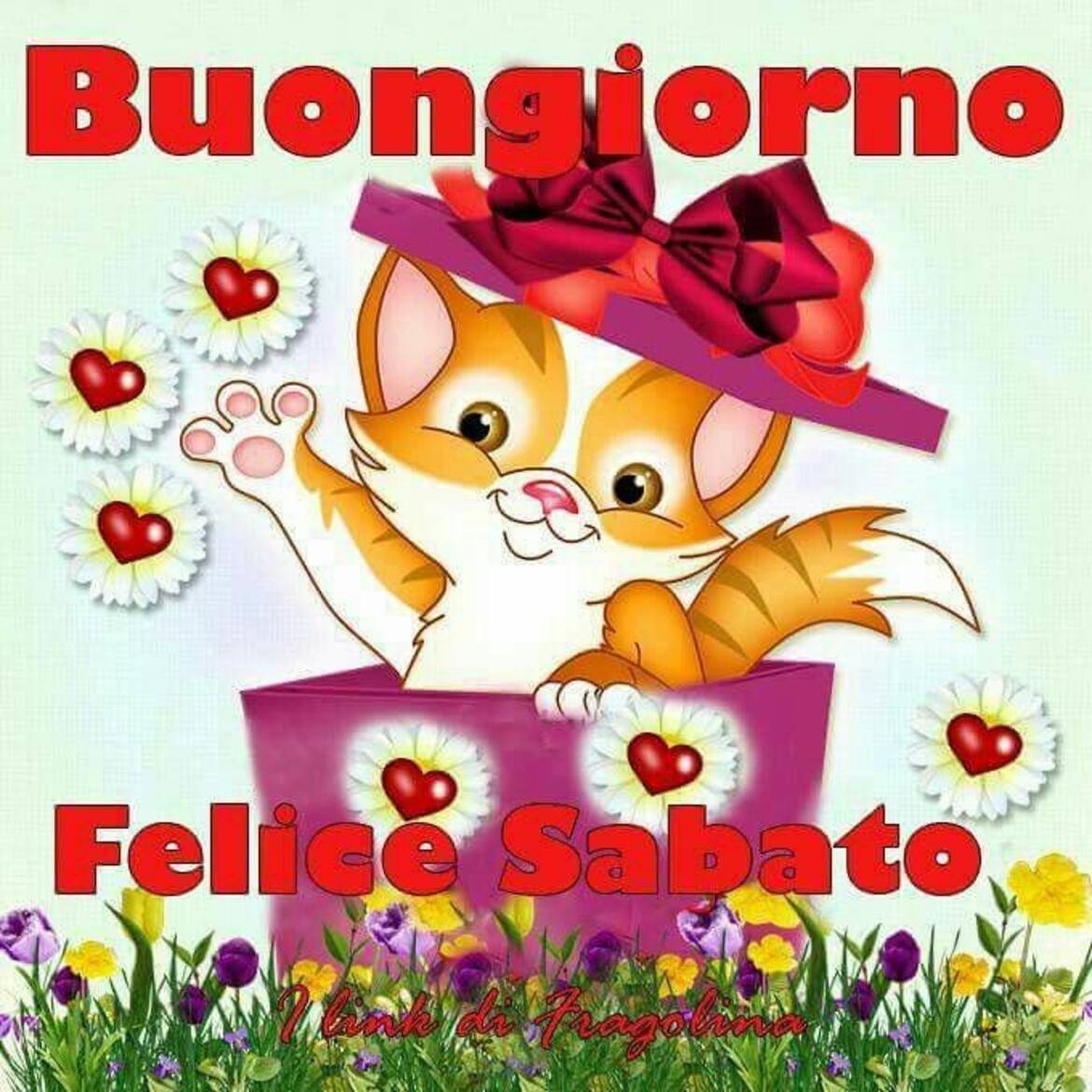 Buongiorno Felice Sabato