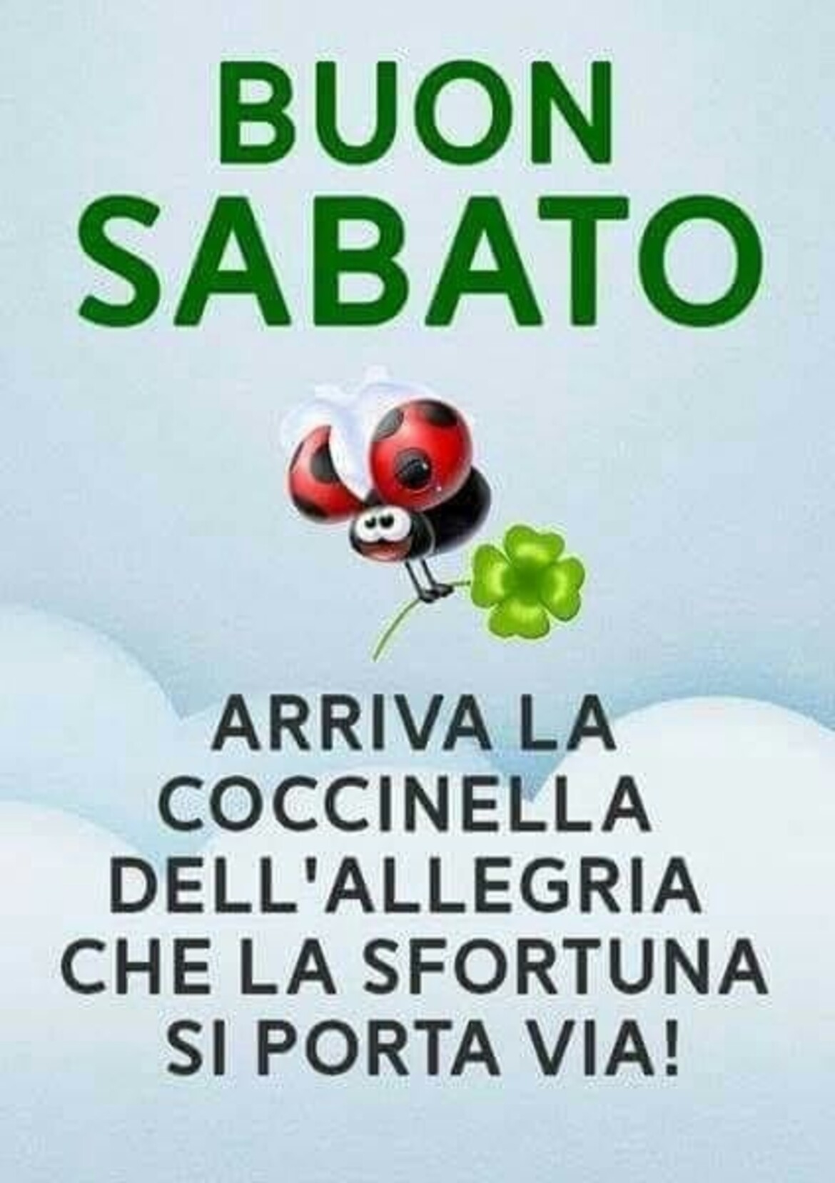 Buon Sabato arriva la coccinella dell'allegria che la sfortuna si porta via!