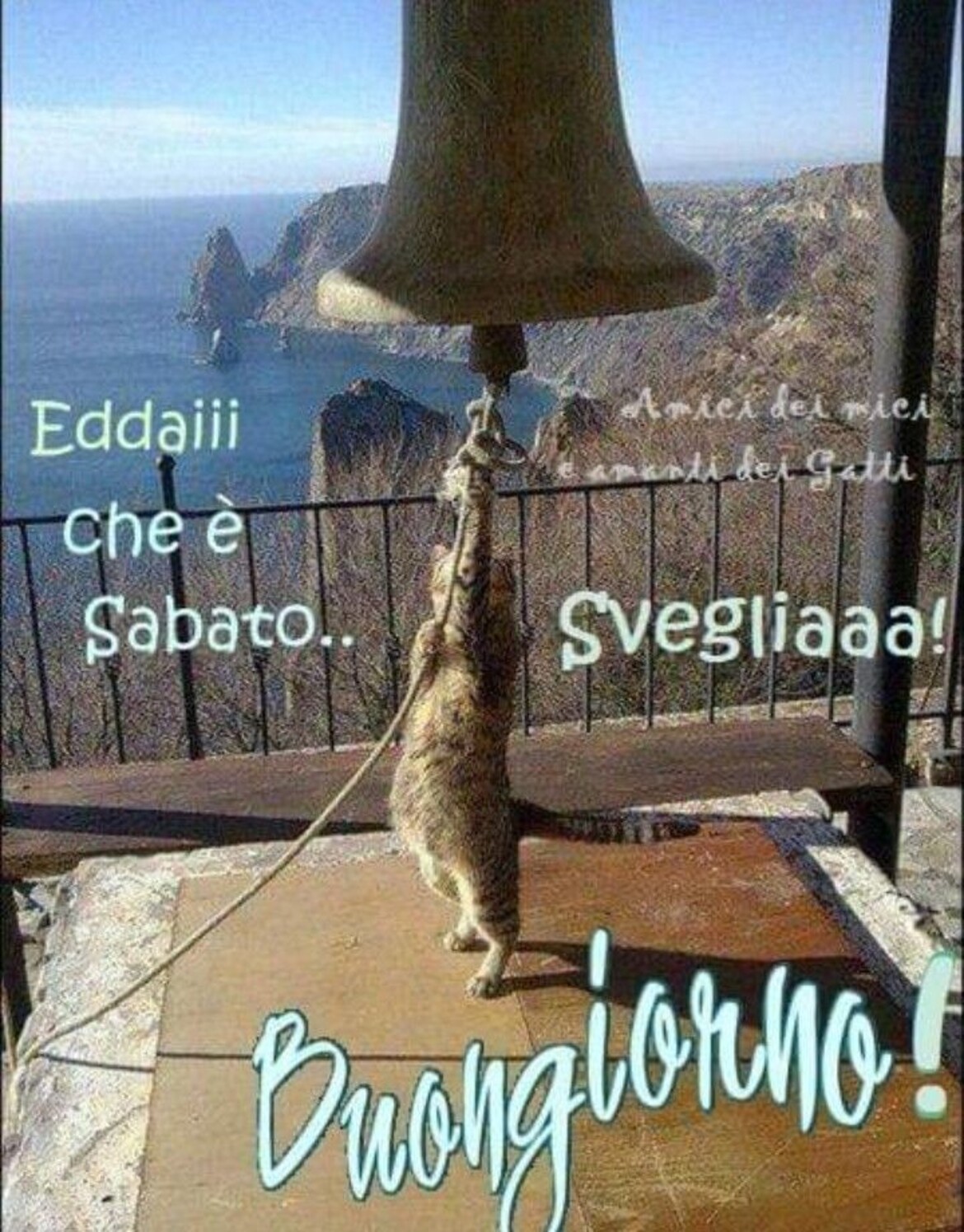 Eddai che è Sabato! Svegliaaaa! Buongiorno!