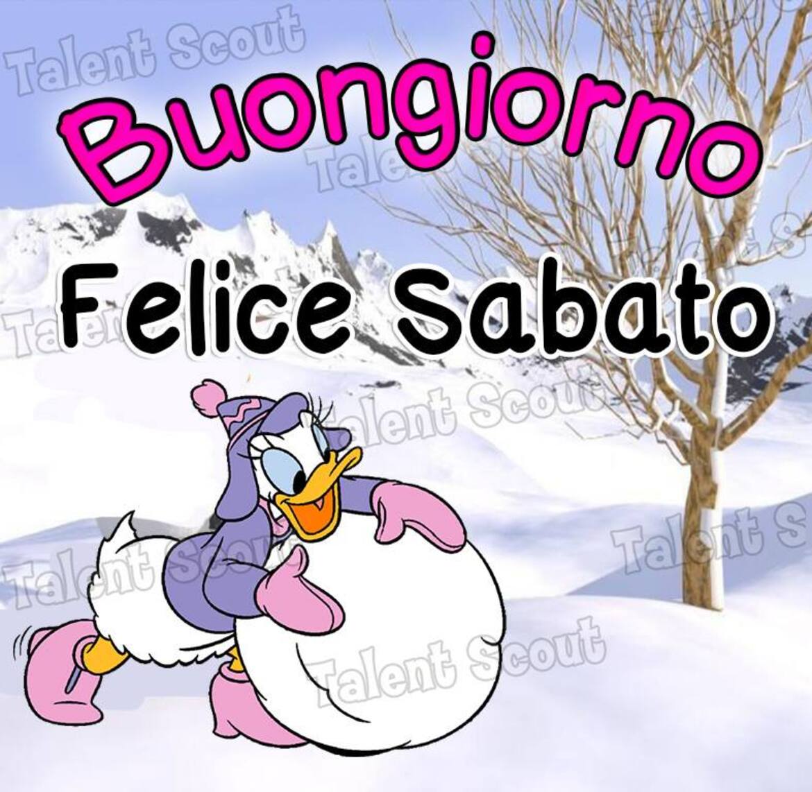 Buongiorno Felice Sabato