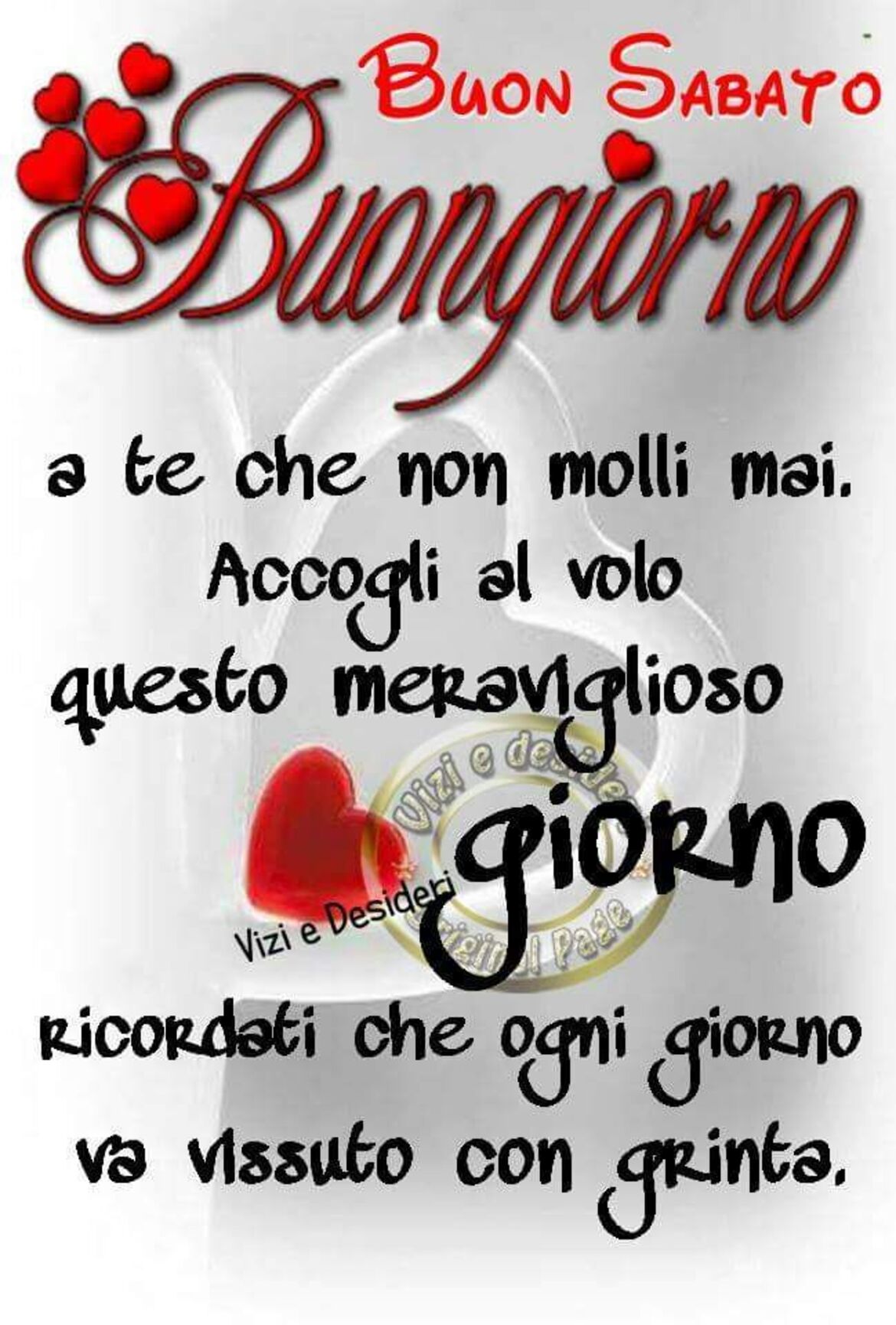 Buon Sabato Buongiorno a te che non molli mai. Accogli al volo questo meraviglioso giorno! Ricordati che ogni giorno va vissuto con grinta