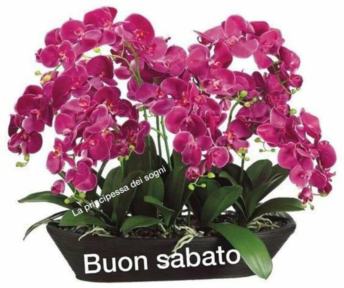 Buon Sabato