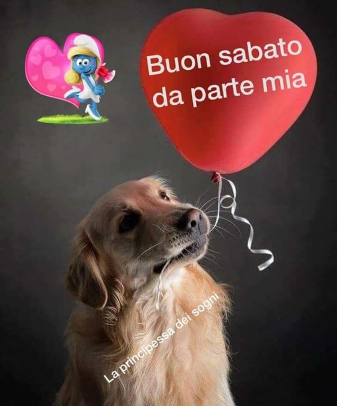 Buon Sabato da parte mia