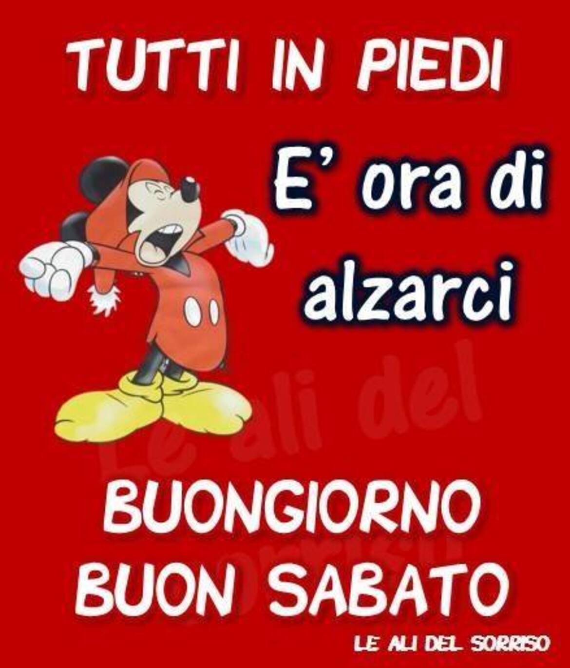 Tutti in piedi è ora di alzarci! Buongiorno Buon Sabato
