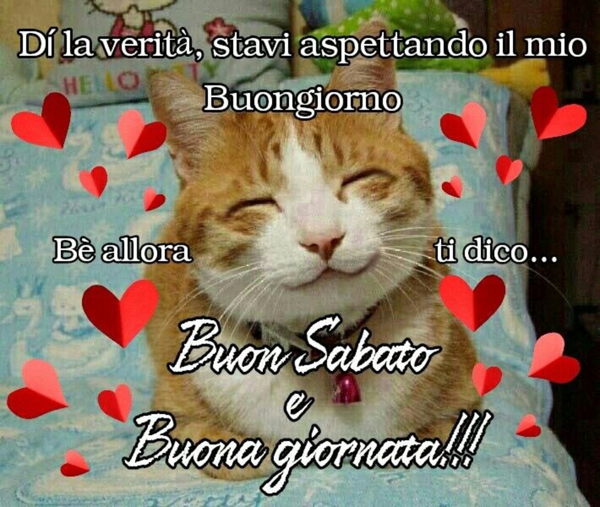 Buon Sabato e Buona Giornata!!