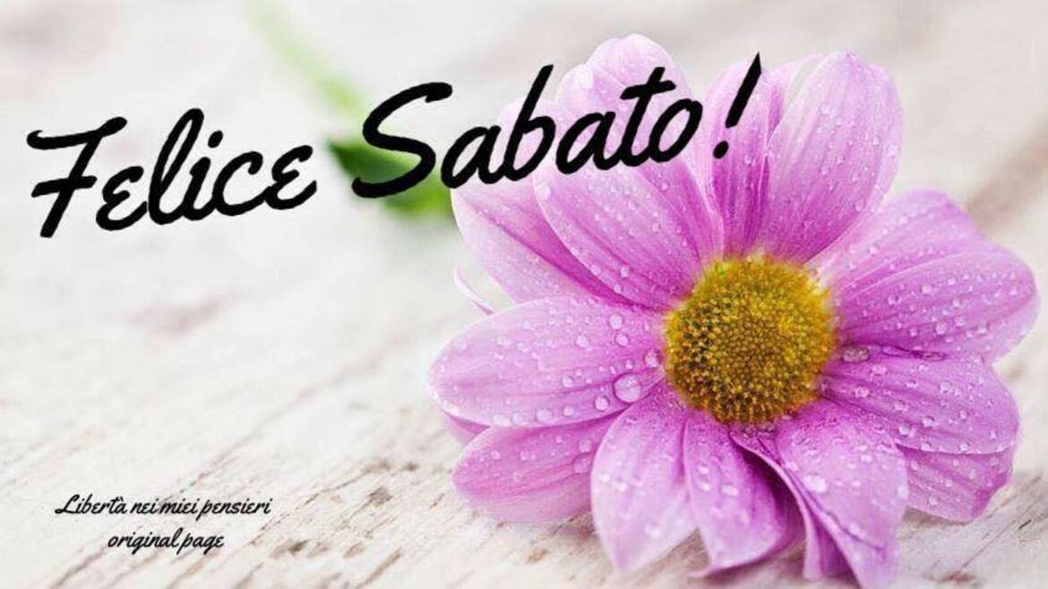 Felice Sabato