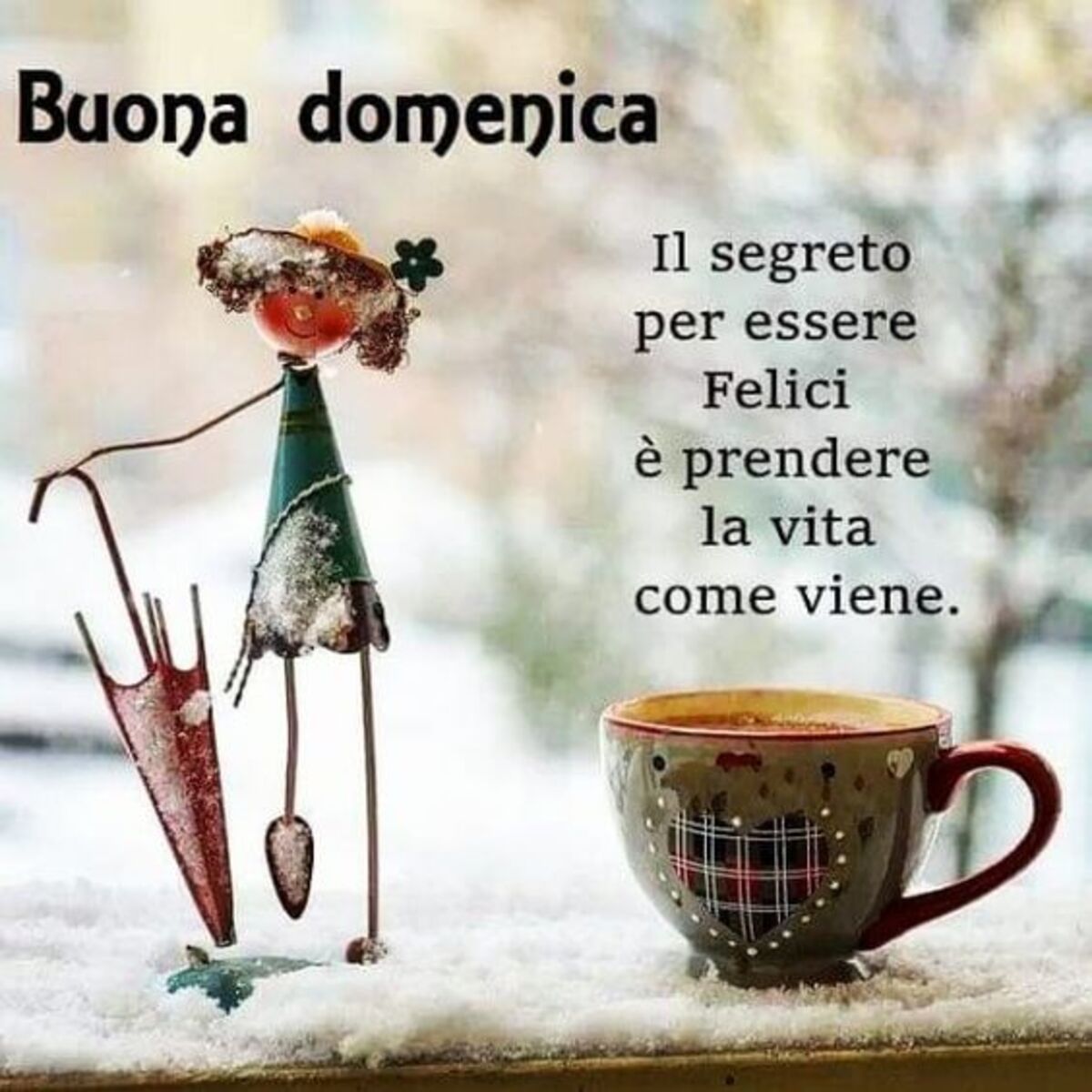 Buona Domenica il segreto per essere felici è prendere la vita come viene