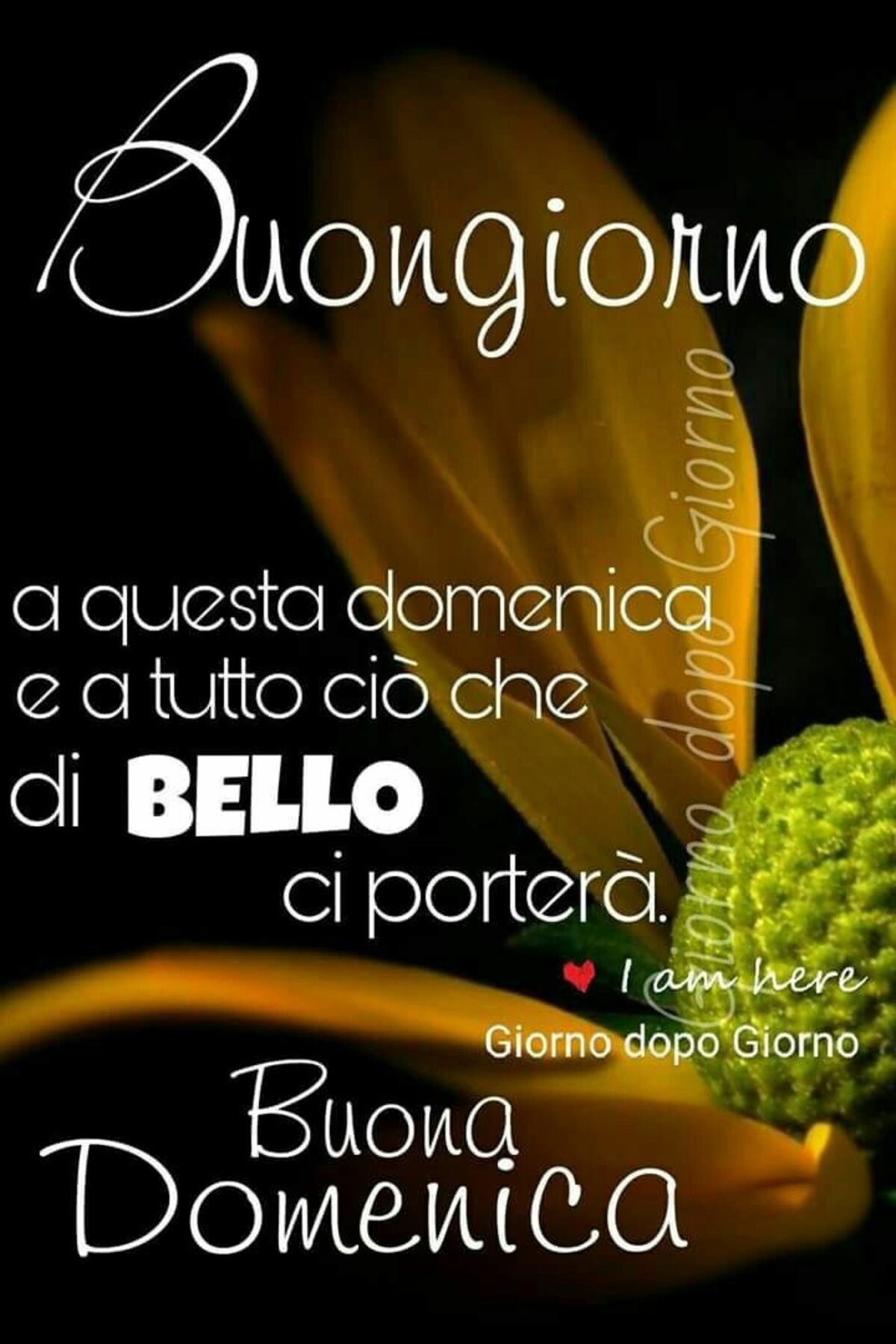 Buongiorno a questa domenica e a tutto ciò che di bello ci porterà Buona domenica