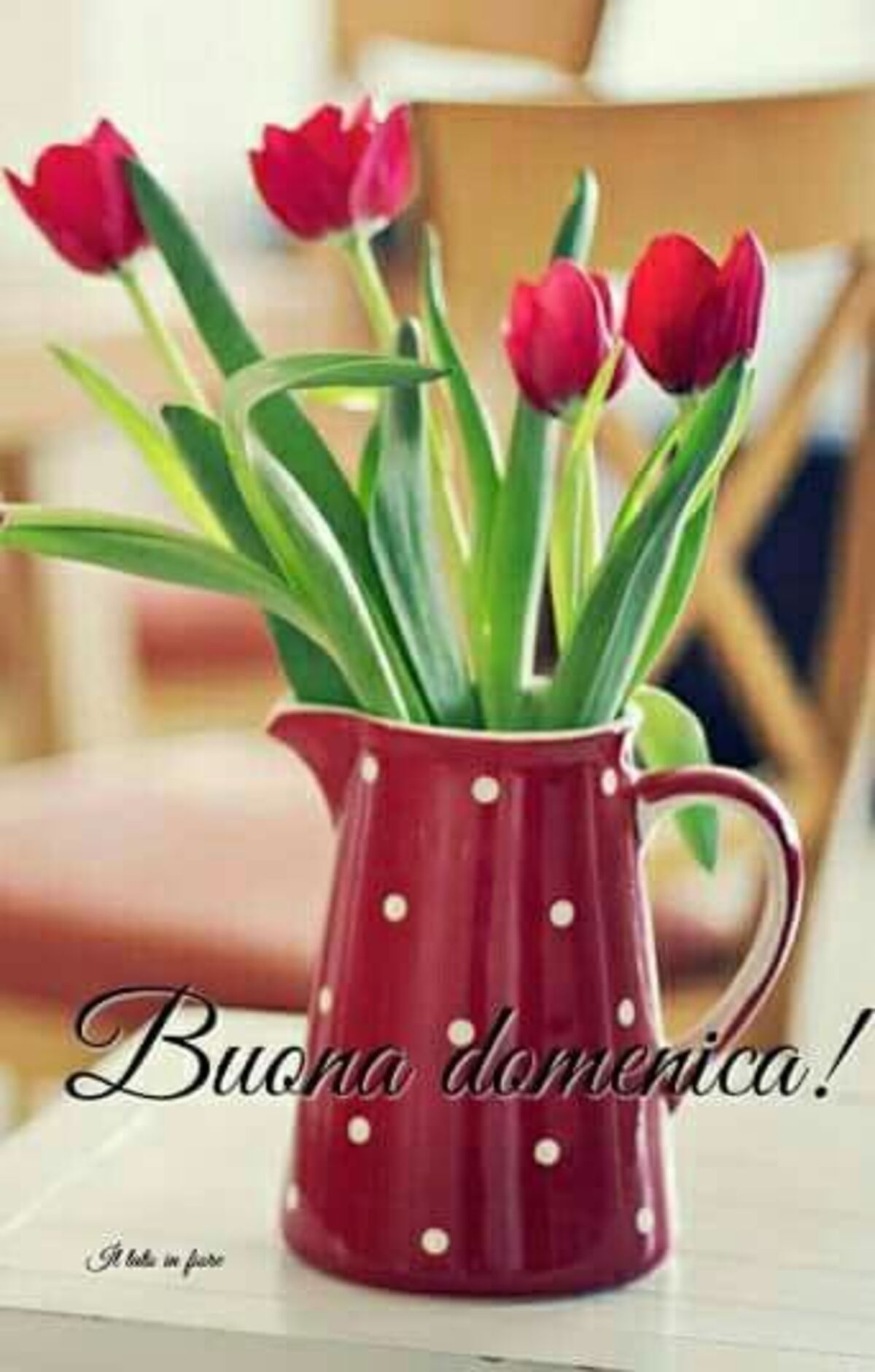 Buona Domenica