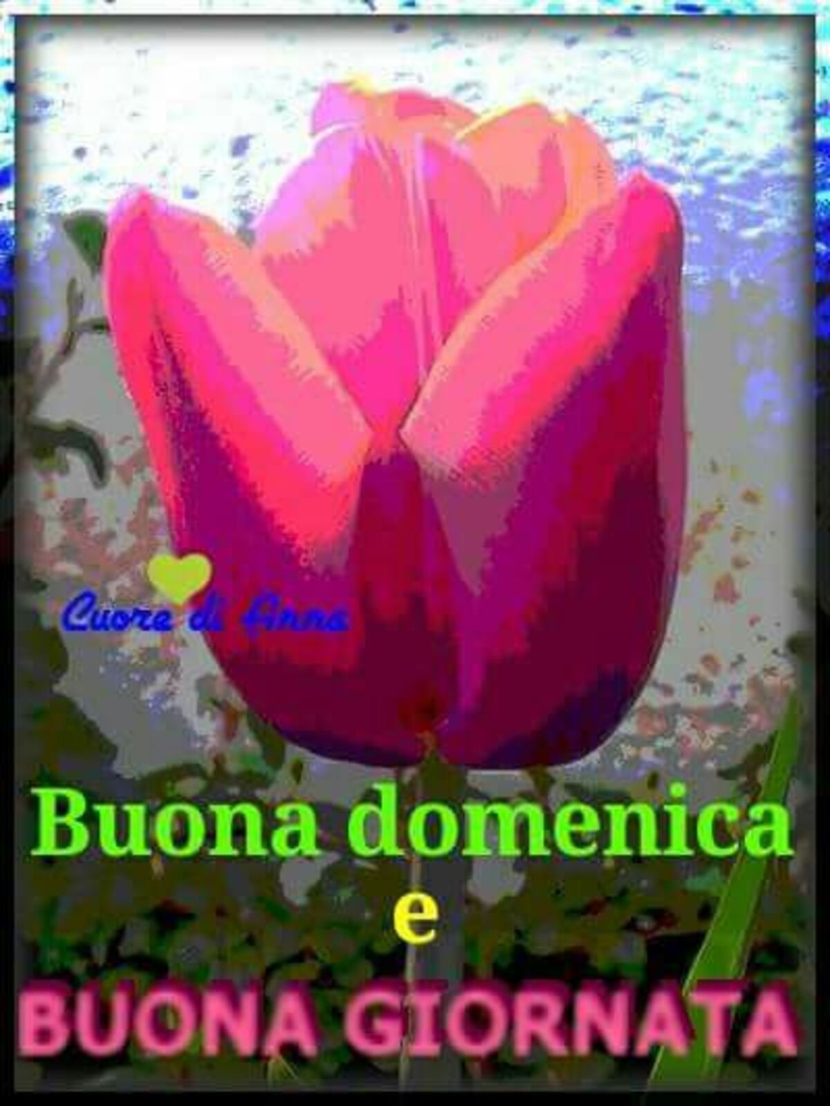 Buona Domenica e buona giornata