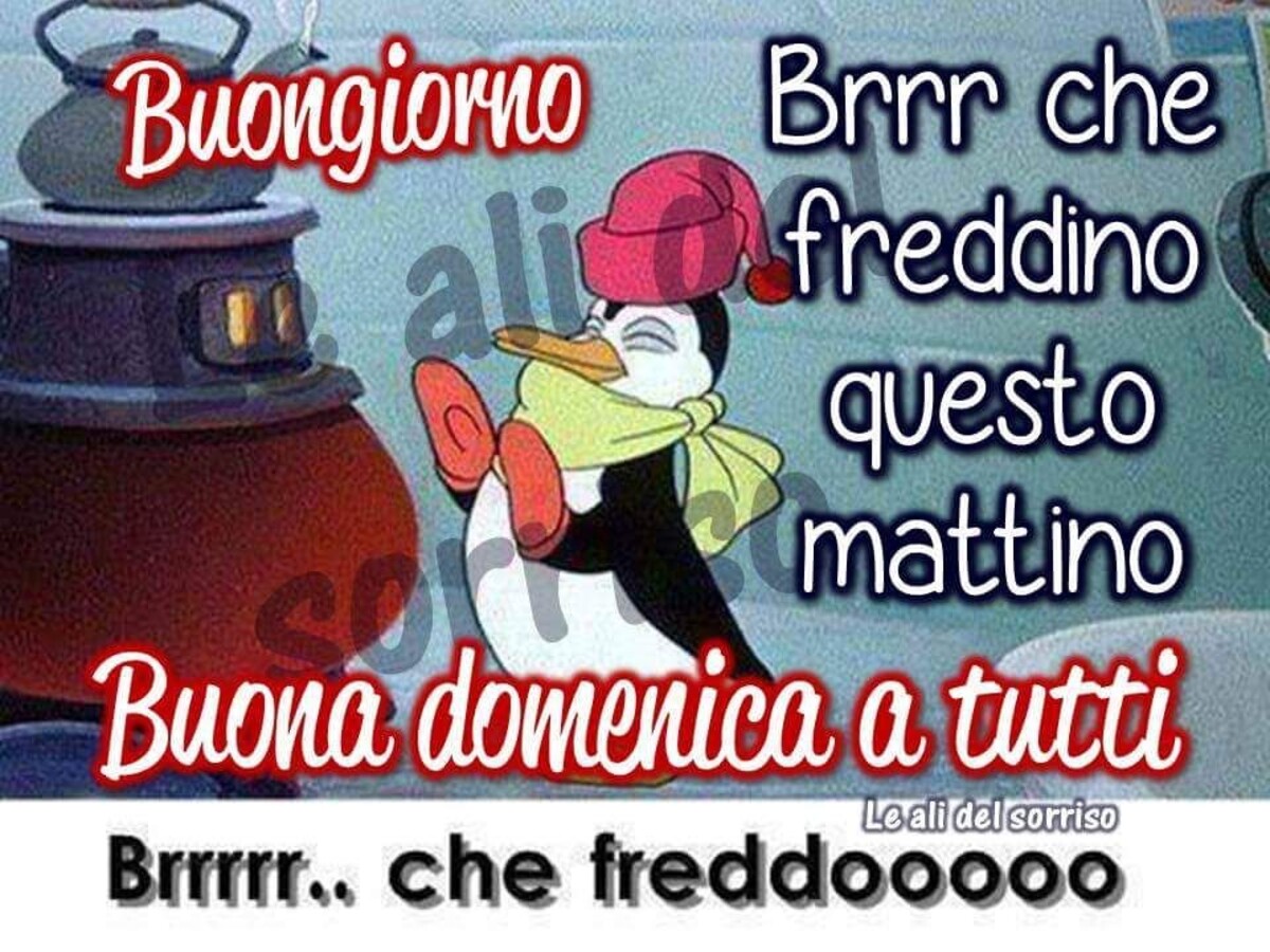 Buongiorno brr che freddino questo mattino Buona Domenica a tutti...brr che freddo