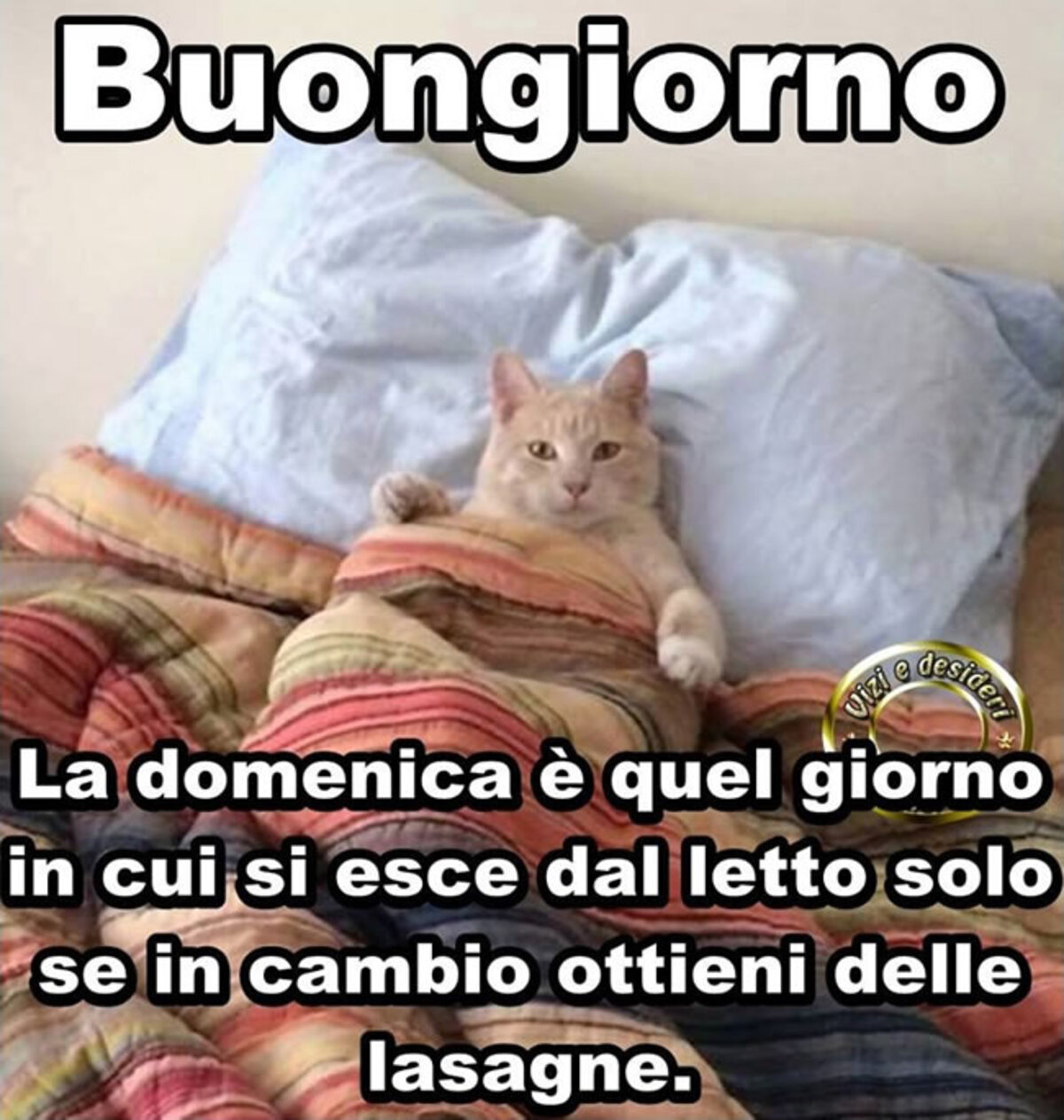 Buongiorno la domenica è quel giorno in cui si esce dal letto solo se in cambio ottieni delle lasagne