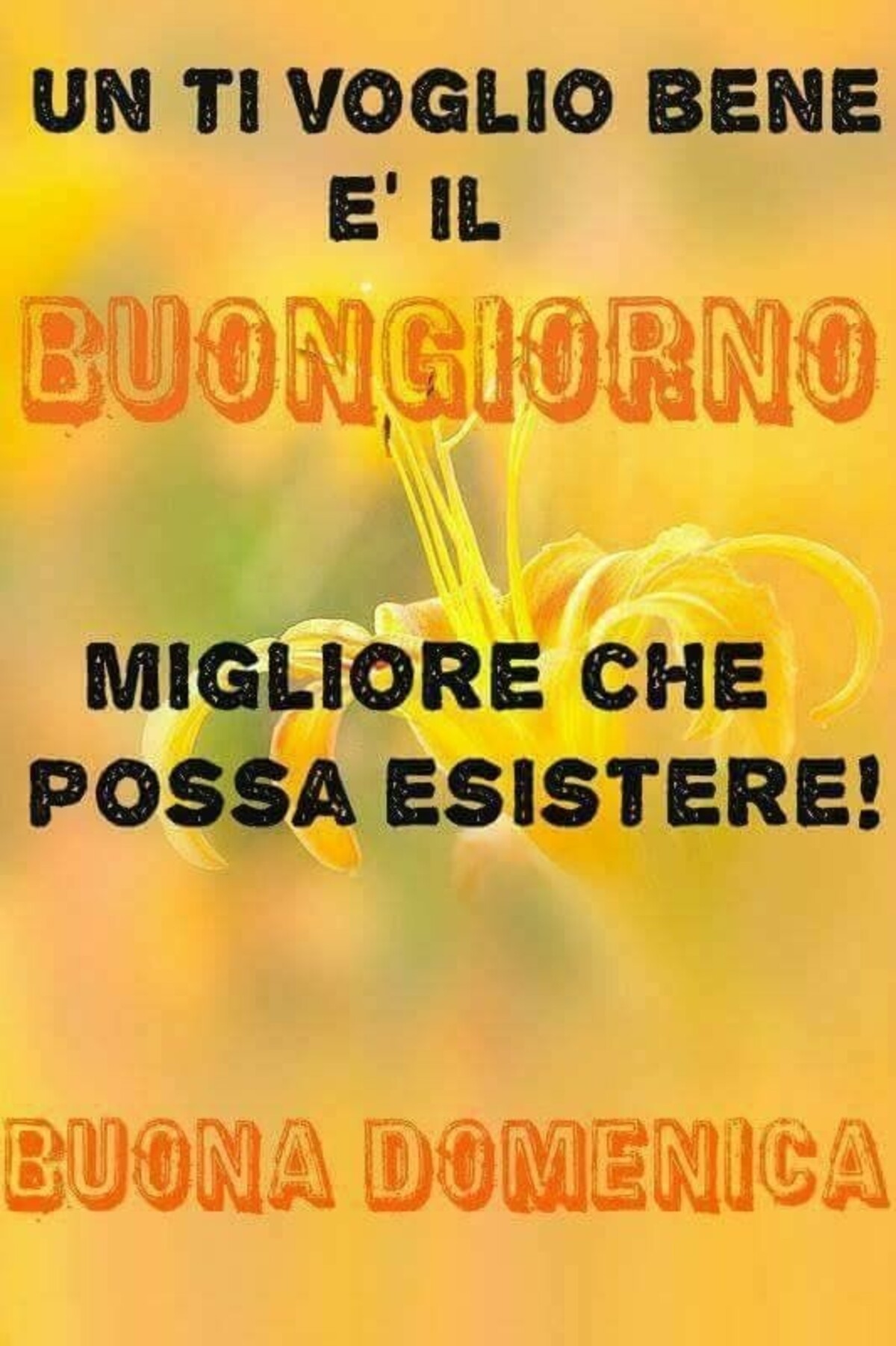 Un ti voglio bene è il buongiorno migliore che possa esistere! Buona Domenica