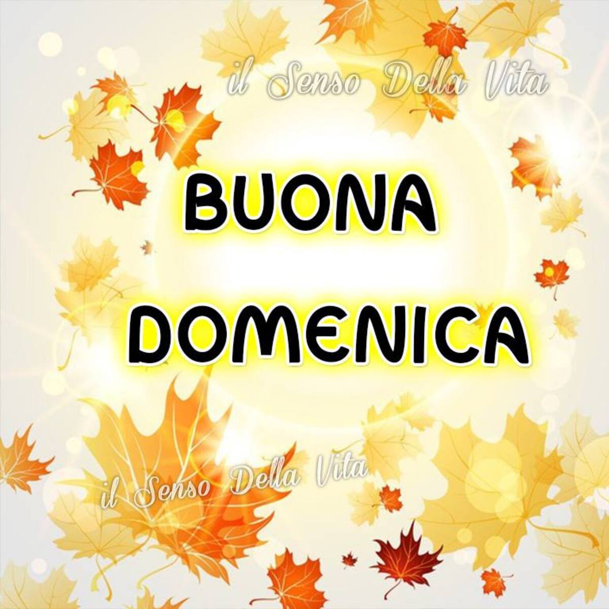 Buona Domenica