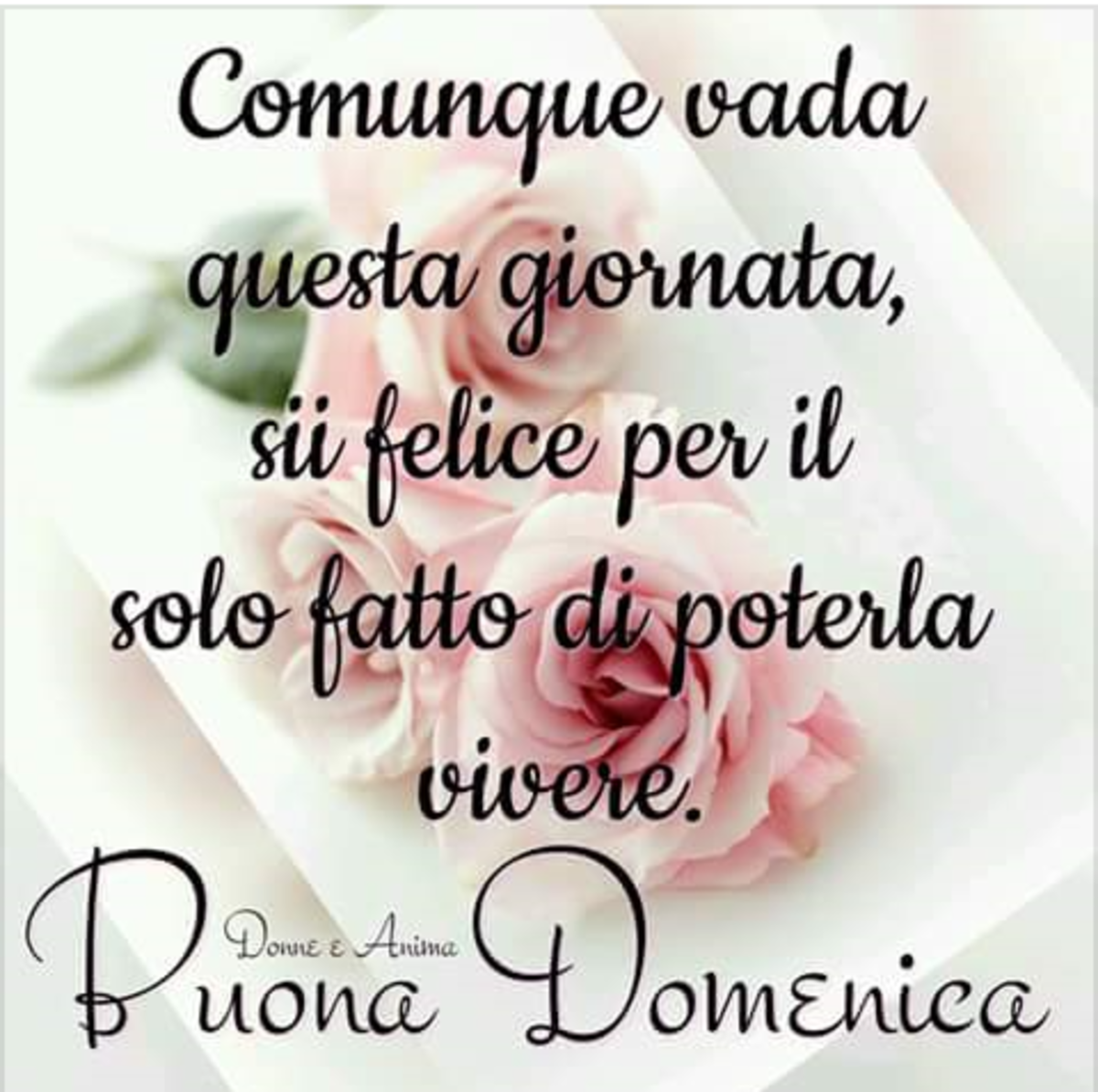 Comunque vada questa giornata, sii felice per il solo fatto di poterla vivere! Buona Domenica