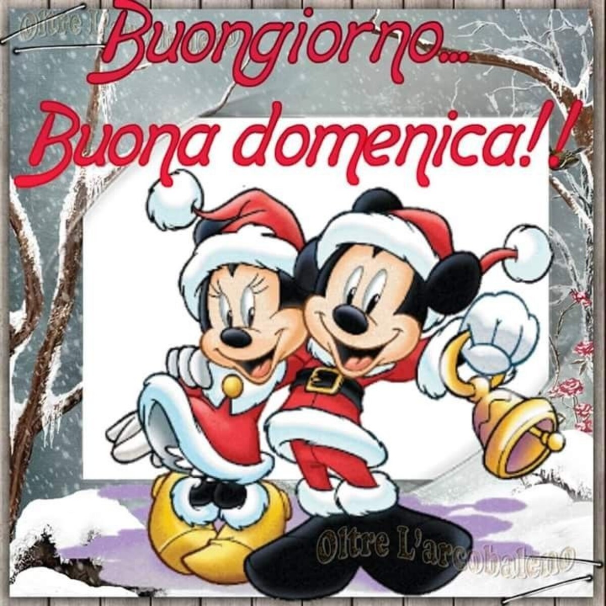 Buongiorno...Buona Domenica