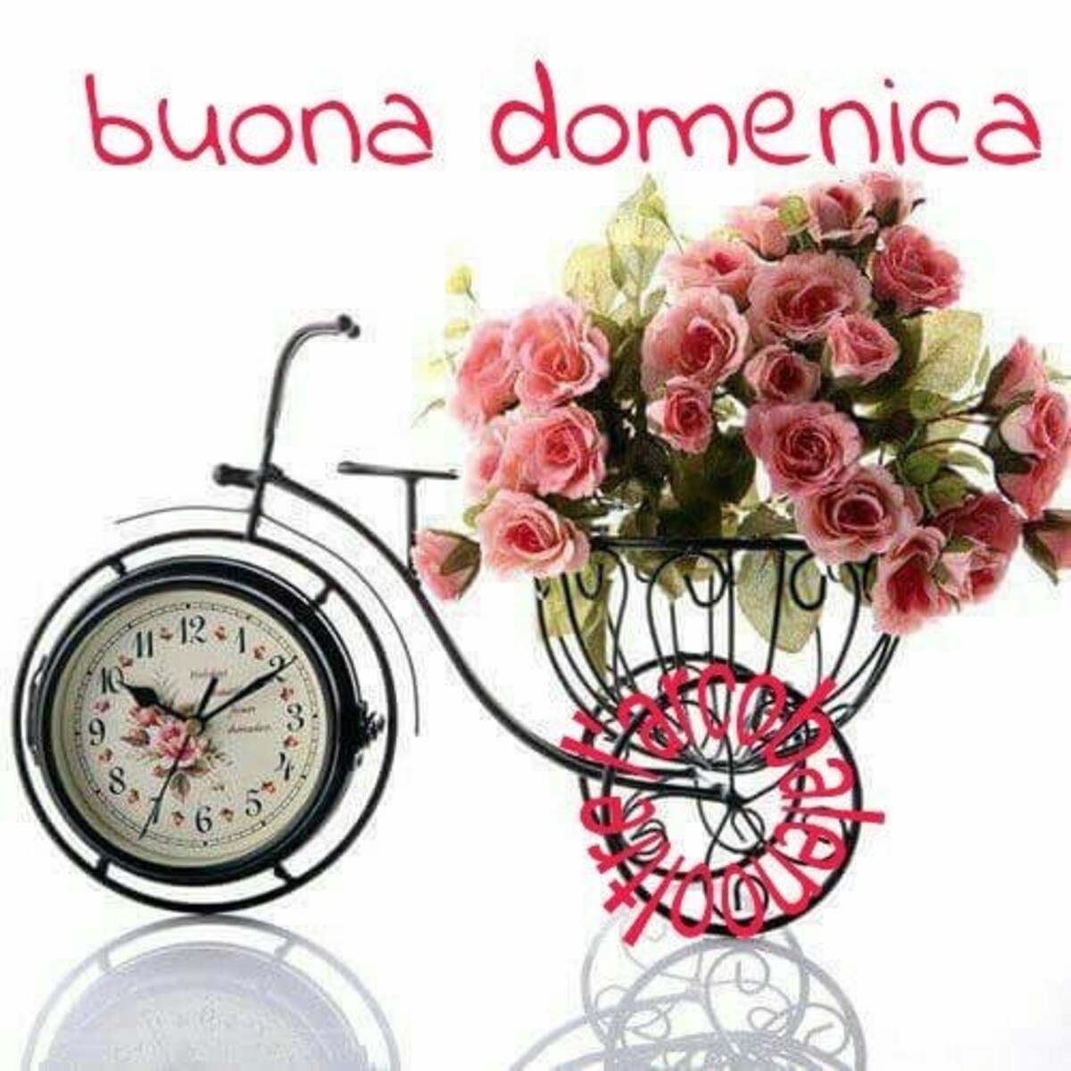 Buona Domenica