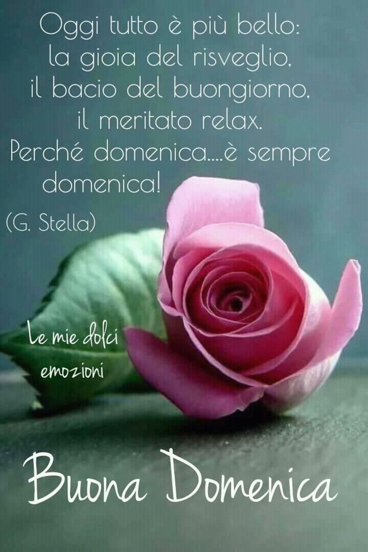 Oggi è tutto più bello, la gioia del risveglio, il bacio del buongiorno, il meritato relax. Perchè Domenica è sempre domenica! Buona Domenica