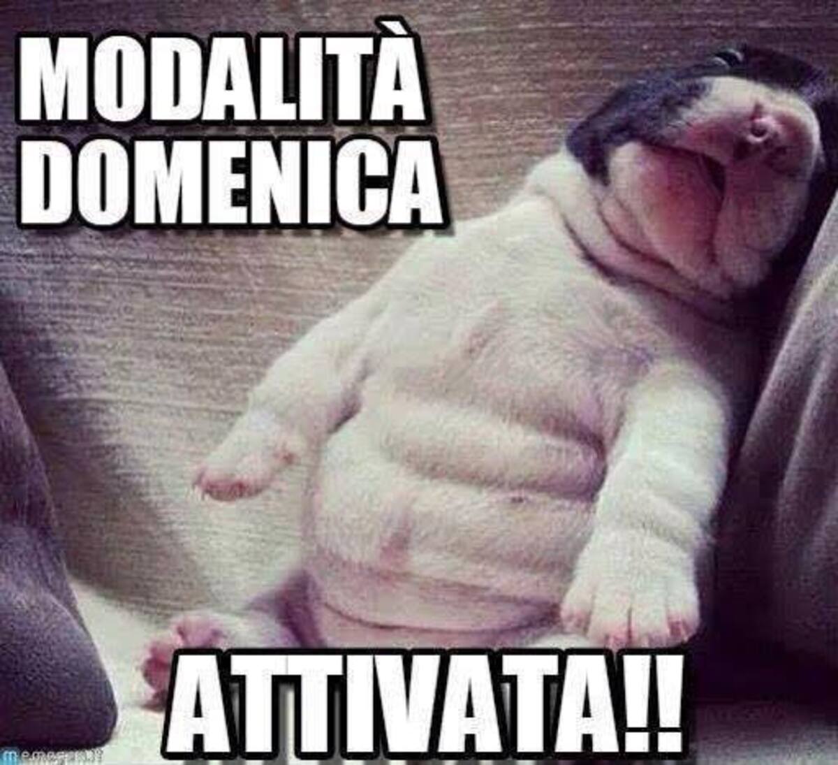 Modalità Domenica Attivata