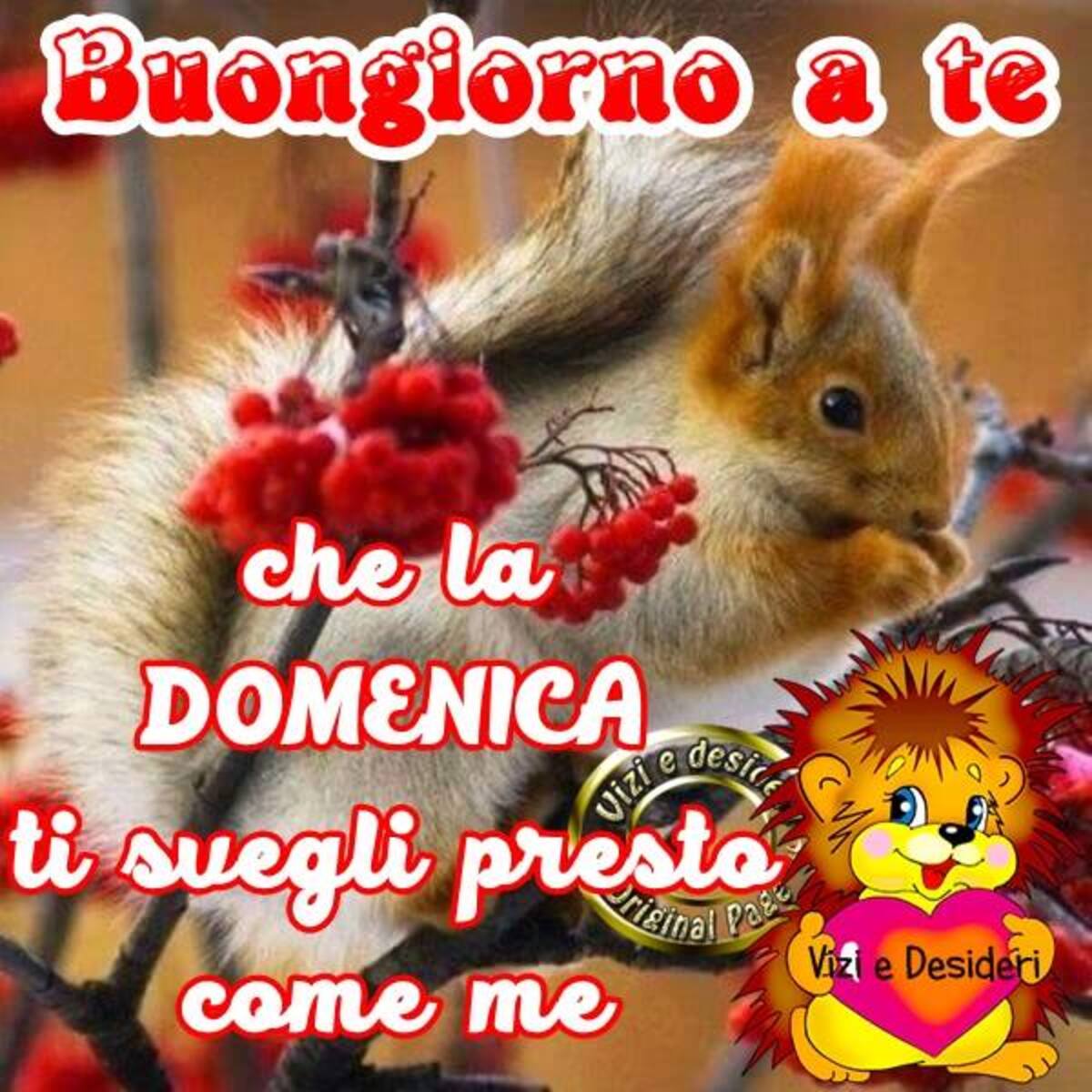 Buongiorno a te che la domenica tu svegli presto come me