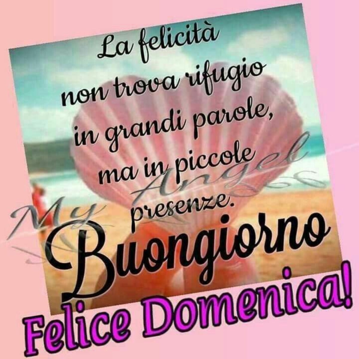 La felicità non trova rifugio in grandi parole, ma in piccole presenze! Buongiorno Felice Domenica