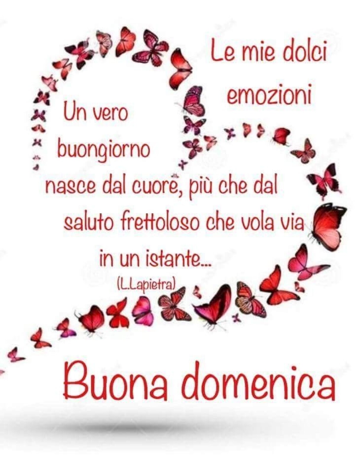 Un buongiorno nasce dal cuore, più che dal saluto frettoloso che vola via in un istante. Buona Domenica