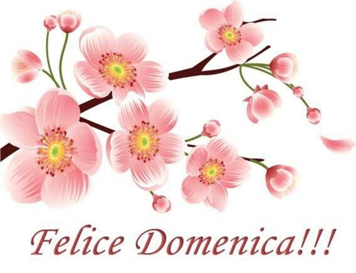 Felice Domenica