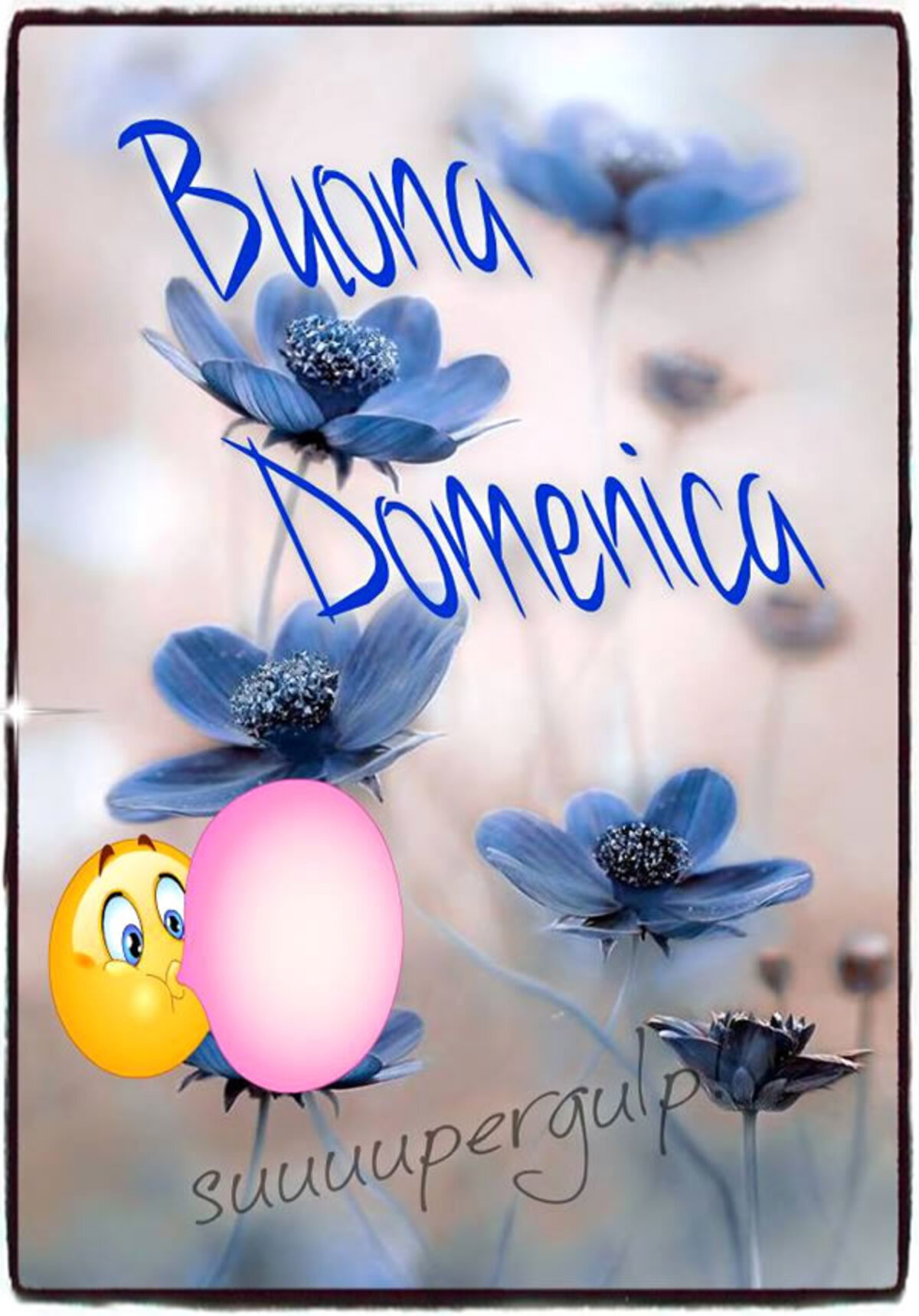 Buona Domenica