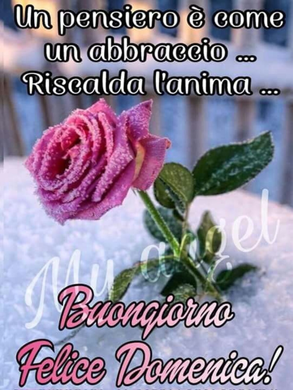 Un pensiero è come un abbraccio...riscalda l'anima...Buongiorno Felice Domenica